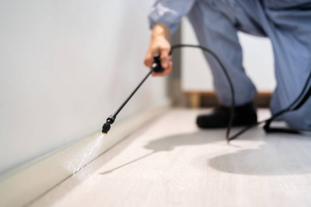 Licensed Termite Control service in Soulsbyville, CA - Nex Pest Control