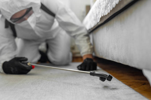 Professional Termite Control technician working in Soulsbyville, CA