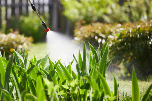 24/7 Emergency Termite Control experts in Soulsbyville, CA
