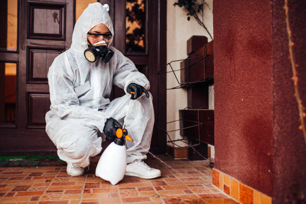 Reliable Termite Control contractor in Soulsbyville, CA by Nex Pest Control