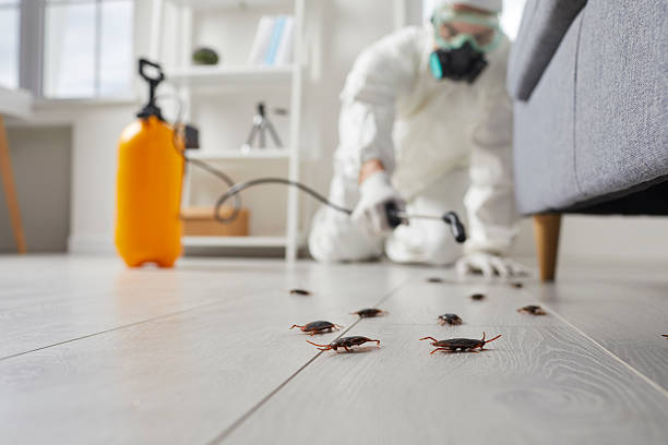 Trusted Fumigation Services service in Soulsbyville, CA - Nex Pest Control