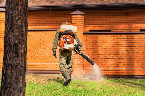 Trusted Ant Control service in Soulsbyville, CA - Nex Pest Control